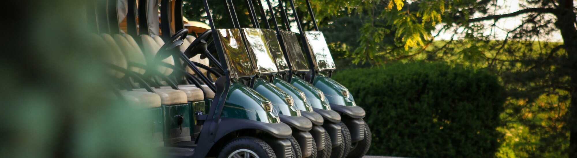 Row of golf carts parked in a lush green setting with trees in the background.