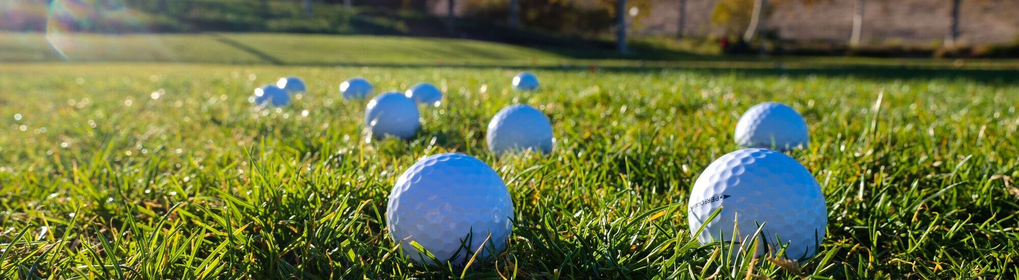 Multiple white golf balls scattered on green grass under sunlight.